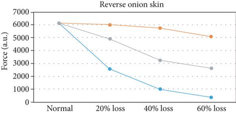 Image result for What Is Muscle Architecture Force Generation