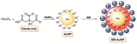 Revisiting Current Photoactive Materials for Antimicrobial Photodynamic ...