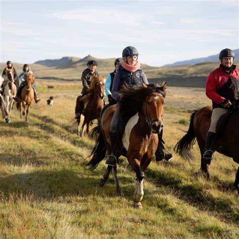 HESTASPORT - RIDING TOURS (2026) All You Need to Know BEFORE You Go ...