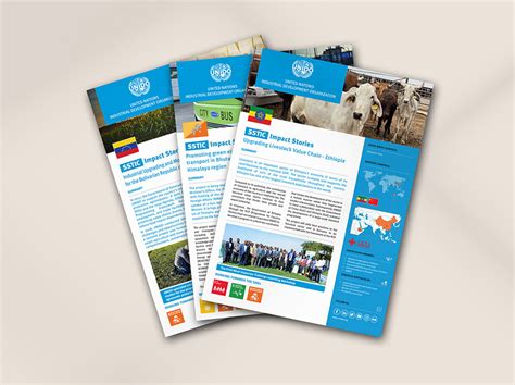 A Fact Brochure Example 的图像结果