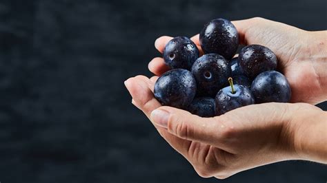 Image result for Java Plum Benefits