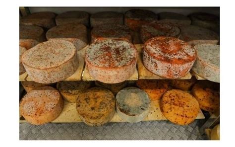 Miss Eating Cheese Platter? Well, Make Your Own With Darima Farms ...