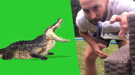 Homemade Greenscreen 的图像结果