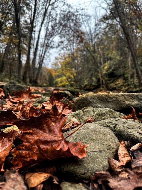 Fall in Ohio is so pretty [OC] : r/AutumnPorn