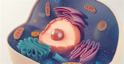 Image result for Science Cells