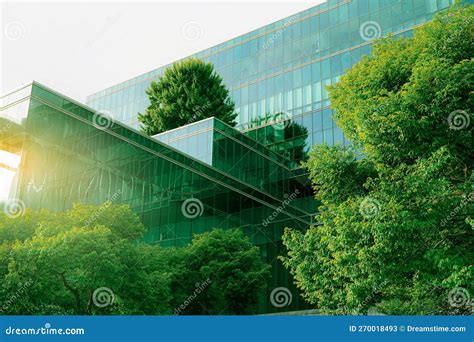 Green Environment 的图像结果