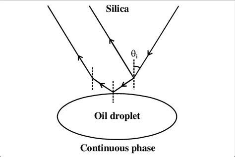 System.reflection 的图像结果