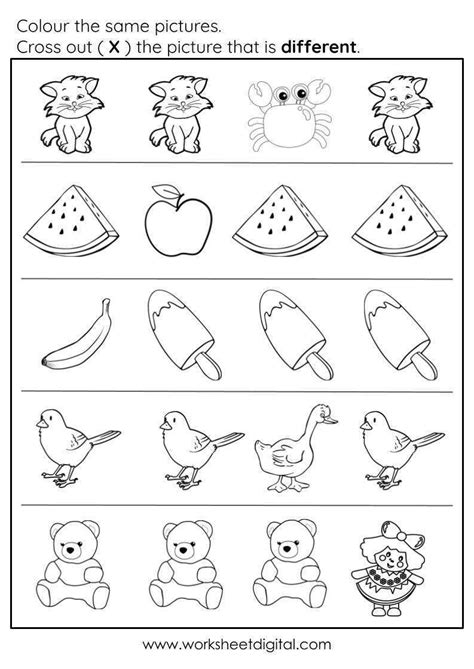 Same Difference Worksheet 的图像结果