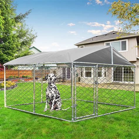 Dog Runs Or Fencing