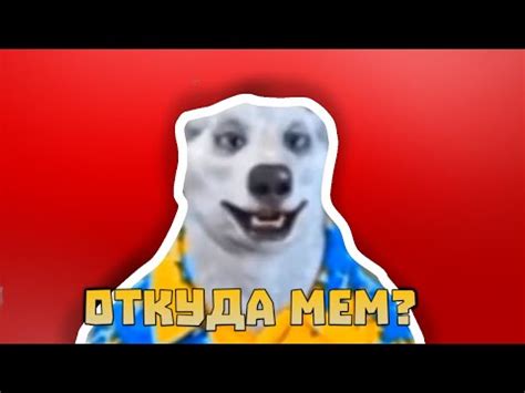 ХОДИЛКИ БРОДИЛКИ - ОТКУДА МЕМ? - YouTube