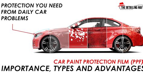 PPF Car Protection 的图像结果
