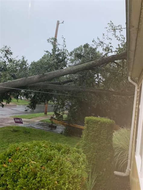 Storms on Thursday caused trees to fall, other damage - masslive.com