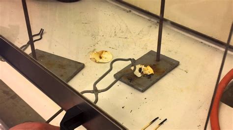 Image result for NH4NO3 Explosion