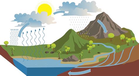 Water Cycle Quiz - Doquizzes
