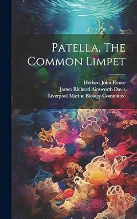 Buy Patella, The Common Limpet Book Online at Low Prices in India ...