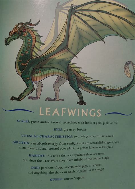 Printable dragon fortune teller cootie catcher birthday party wings of ...