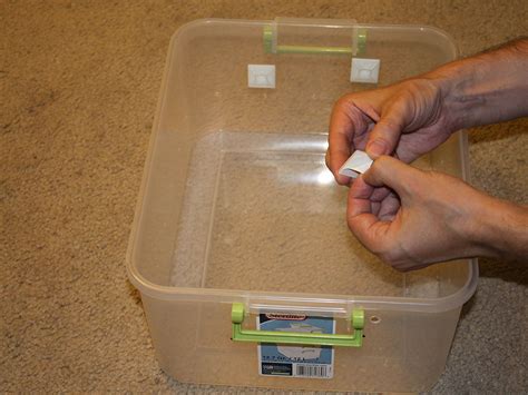 Green Tree Python Tub Setup 的图像结果