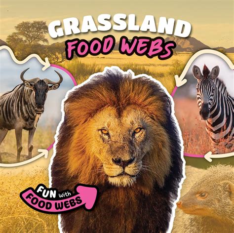 Grassland Food Webs | Amazon.com.br