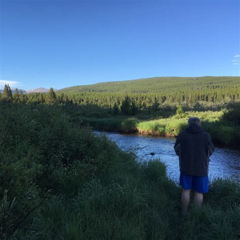 Island Park Campground Camping | The Dyrt