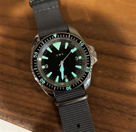 Image result for CWC Diver