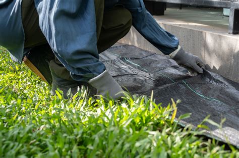 Comprehensive Weed Control Services in Simpsonville, SC: What You Need ...