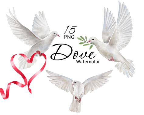 Love Dove Clipart Png