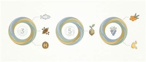 Omega 3 vs 5 vs 7: Differences, Meaning, and Why They’re Separate ...