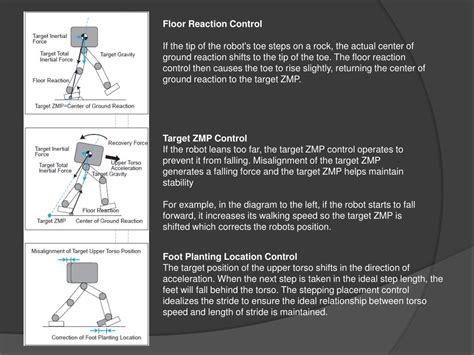Asimo Evolution 的图像结果