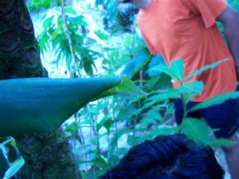 THE BEST Places to Visit in Hato Mayor del Rey (2025)