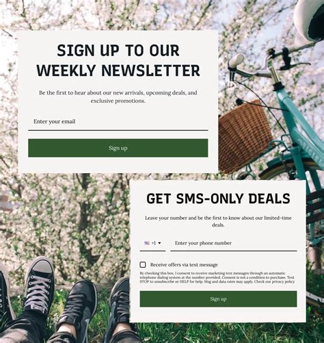 Email & SMS Multi-step capture - Omnisend