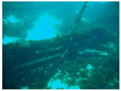 Underwater Cultural Heritage as an Engine for Social, Economic and ...