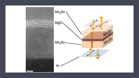 Mirai project members discovered room-temperature tunneling magnetoresistance in an all ...