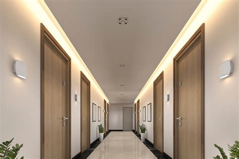 Plaster 的图像结果