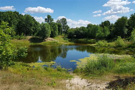 Pond 的图像结果