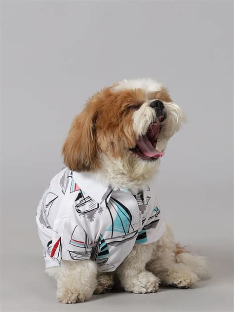 Dog Shirts – Chirkutt