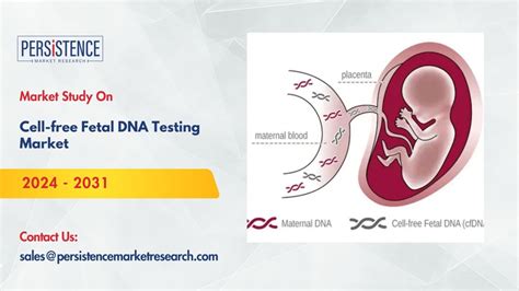 Image result for Cell-Free DNA Testing