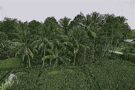 Image result for Java Main Method