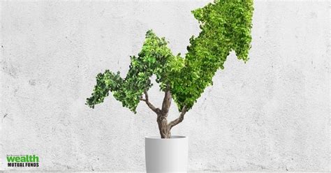 Top Equity Mutual Fund: These 28 equity mutual fund schemes returned ...