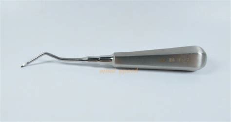 Dental Tooth Root Tip Extraction Elevators | Ubuy India