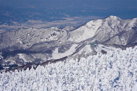 Mount Zao in der Wintersaison. Die schneebedeckten Bäume, die ...