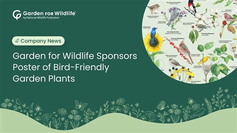When Exactly Are Plants Considered Wildlife