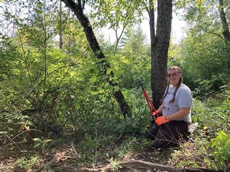 Volunteer Stewardship Workdays