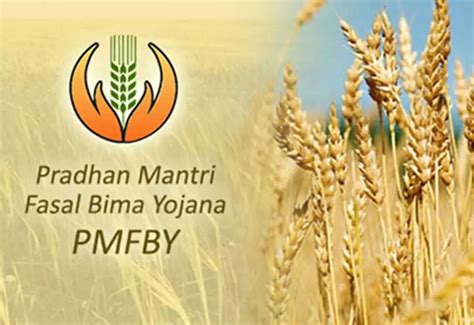 Fasal Bima: How to check whether you received the money under PM Fasal ...