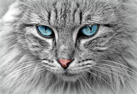 Image result for Material Classification Deep Learning