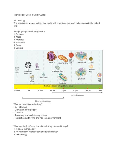 Image result for Microbiology Study Guide