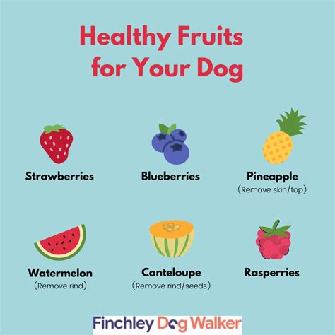 Oranges Fruit For Dogs at Fred Morales blog