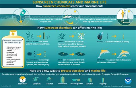 Zinc Oxide, Titanium Dioxide's Role in Reef-Safe Sunscreens – Spinnaker ...