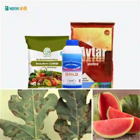 Watermelon Suraksha Kit - Downy Mildew (20-55 days) | COD Available ...