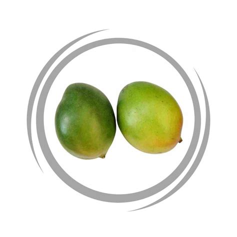 Image result for Dwarf Mango Tree