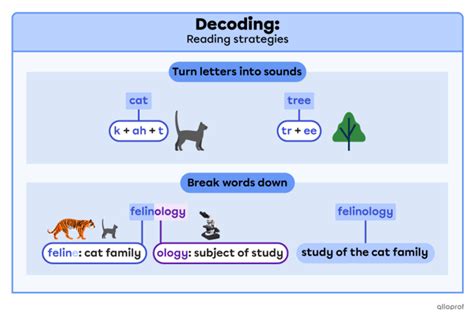 Shared Reading Decoding 的图像结果